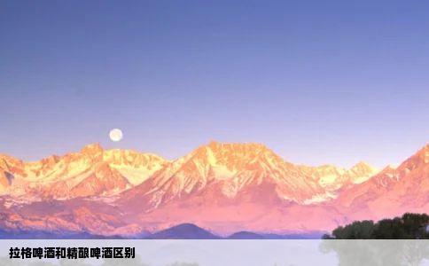 拉格啤酒和精酿啤酒区别