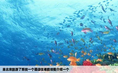 来北京旅游了想找一个酒店住谁能给我介绍一个