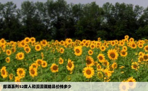 郎酒系列52度人和洞洞藏精品价格多少