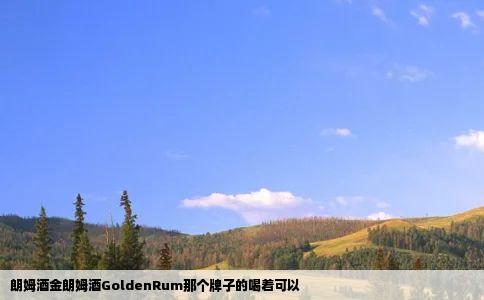 朗姆酒金朗姆酒GoldenRum那个牌子的喝着可以