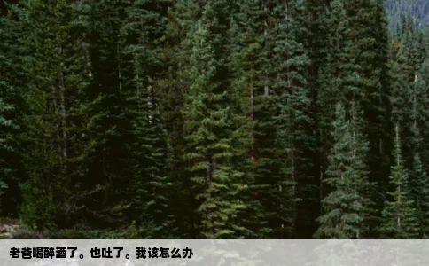 老爸喝醉酒了也吐了我该怎么办