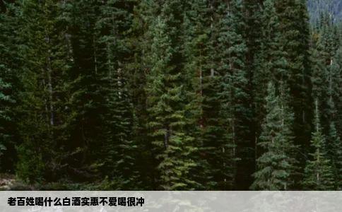 老百姓喝什么白酒实惠不爱喝很冲