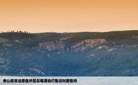 老公经常说爱我吵架后喝酒会打我这叫爱我吗