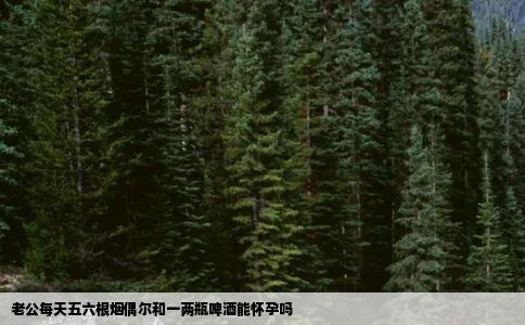 老公每天五六根烟偶尔和一两瓶啤酒能怀孕吗