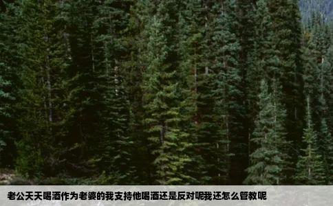 老公天天喝酒作为老婆的我支持他喝酒还是反对呢我还怎么管教呢