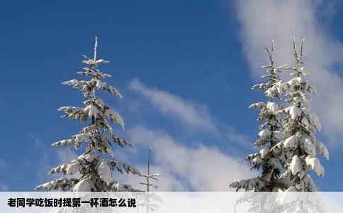 老同学吃饭时提第一杯酒怎么说