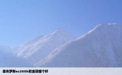 雷克萨斯es300h和皇冠哪个好