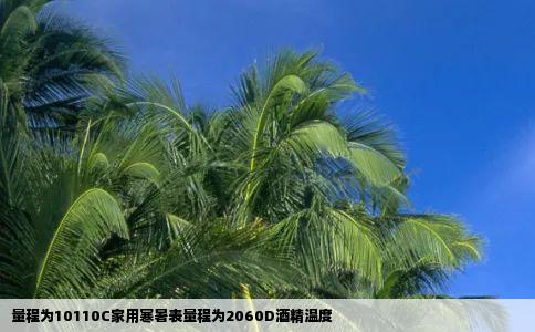 量程为10110C家用寒暑表量程为2060D酒精温度