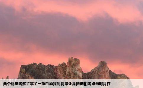 两个朋友喝多了拿了一瓶白酒找到我家让我陪他们喝点当时我在