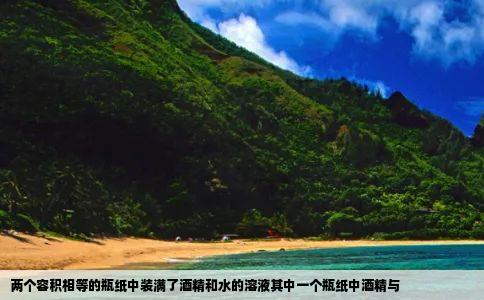 两个容积相等的瓶纸中装满了酒精和水的溶液其中一个瓶纸中酒精与