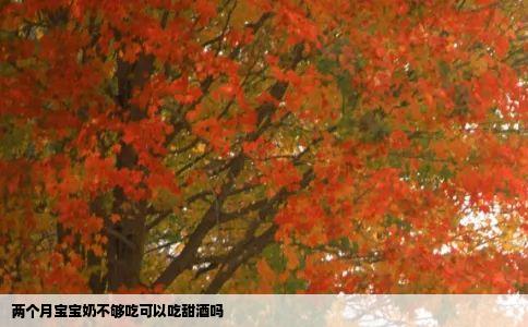 两个月宝宝奶不够吃可以吃甜酒吗