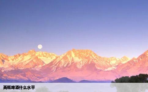 两瓶啤酒什么水平