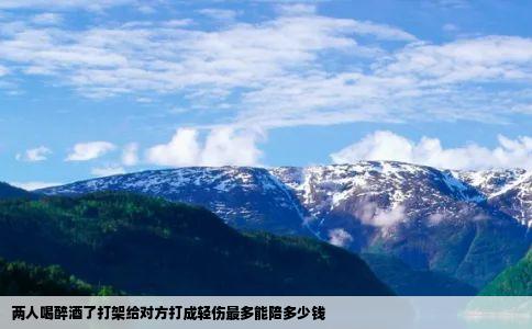 两人喝醉酒了打架给对方打成轻伤最多能陪多少钱