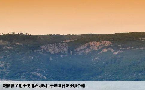 粮食除了用于使用还可以用于造酒开始于哪个朝