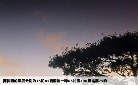 两种酒的浓度分别为75和45要配置一种65的酒300克需要75的