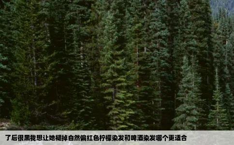 了后很黑我想让她褪掉自然偏红色柠檬染发和啤酒染发哪个更适合