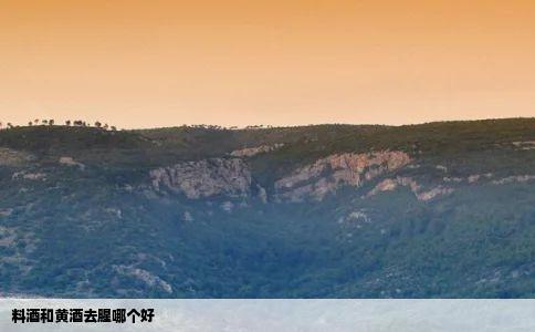 料酒和黄酒去腥哪个好