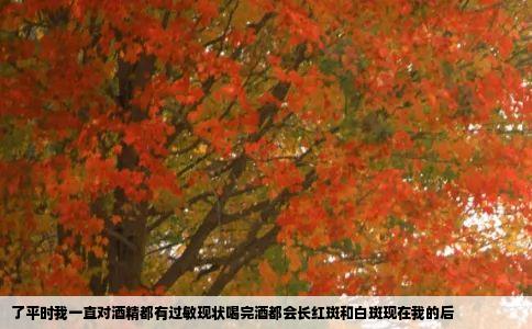 了平时我一直对酒精都有过敏现状喝完酒都会长红斑和白斑现在我的后