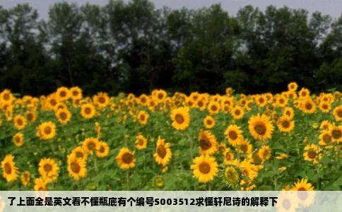 了上面全是英文看不懂瓶底有个编号S003512求懂轩尼诗的解释下