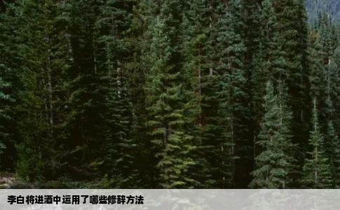 李白将进酒中运用了哪些修辞方法