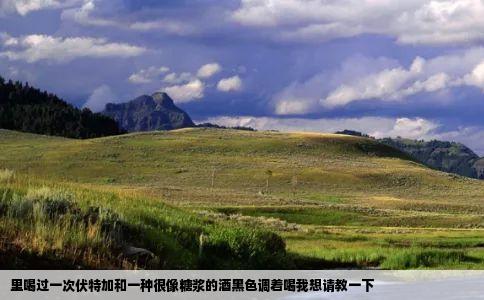 里喝过一次伏特加和一种很像糖浆的酒黑色调着喝我想请教一下