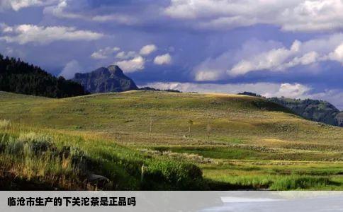 临沧市生产的下关沱茶是正品吗