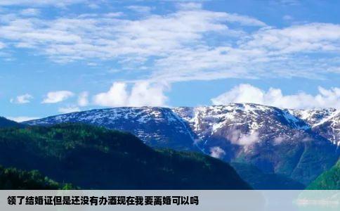 领了结婚证但是还没有办酒现在我要离婚可以吗