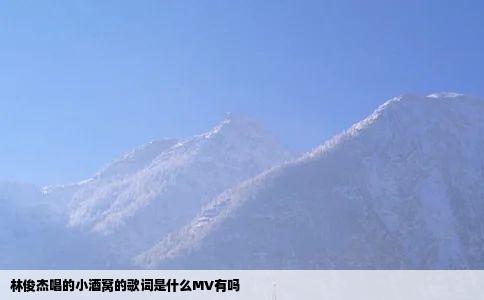 林俊杰唱的小酒窝的歌词是什么MV有吗