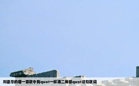 刘德华的哪一首歌中有quot一杯酒二角银quot这句歌词