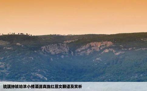 琉璃钟琥珀浓小槽酒滴真珠红原文翻译及赏析