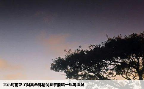 六小时前吃了阿莫西林请问现在能喝一瓶啤酒吗