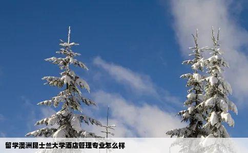 留学澳洲昆士兰大学酒店管理专业怎么样