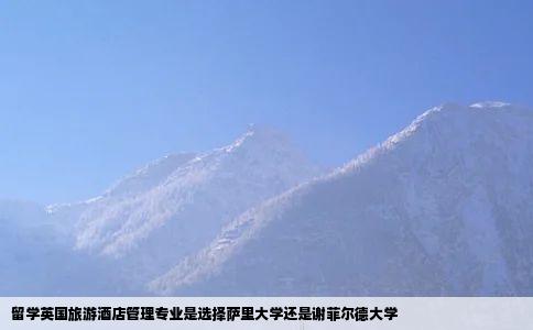 留学英国旅游酒店管理专业是选择萨里大学还是谢菲尔德大学
