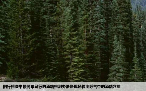 例行检查中最简单可行的酒精检测办法是现场检测呼气中的酒精含量