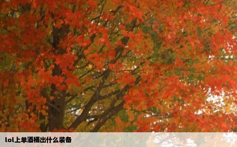 lol上单酒桶出什么装备