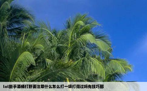 lol新手酒桶打野要注意什么怎么打一级打得过吗有技巧那