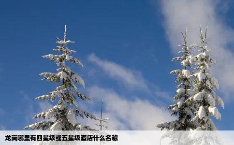 龙岗哪里有四星级或五星级酒店什么名称