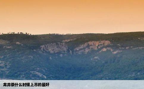 龙井茶什么时候上市的最好