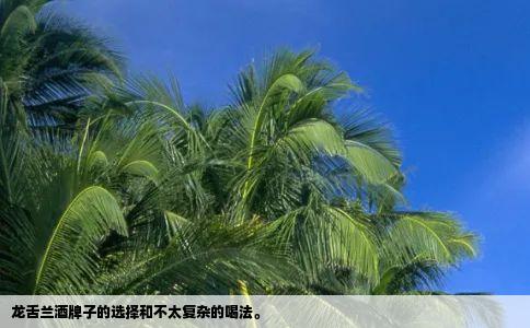 龙舌兰酒牌子的选择和不太复杂的喝法。