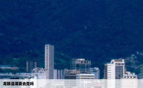 龙眼浸酒要去壳吗