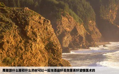 鹿鞭跟什么鞭和什么药材可以一起泡酒最好是效果更好望懂医术的