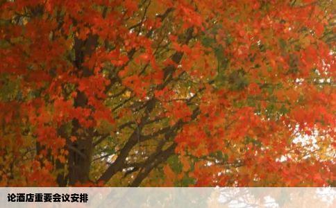 论酒店重要会议安排