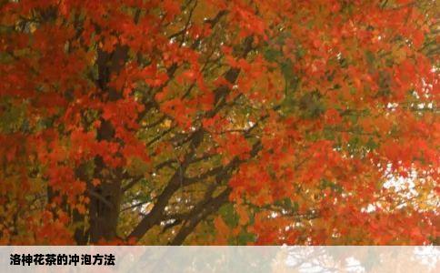 洛神花茶的冲泡方法