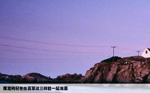 鹿茸枸杞冬虫夏草这三样能一起泡酒