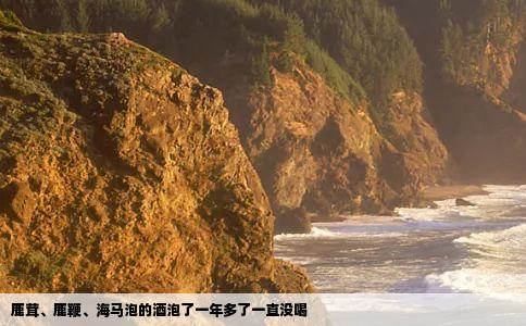 鹿茸鹿鞭海马泡的酒泡了一年多了一直没喝