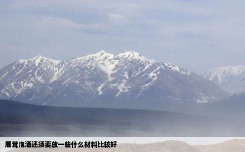 鹿茸泡酒还须要放一些什么材料比较好