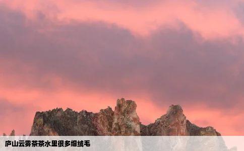 庐山云雾茶茶水里很多细绒毛