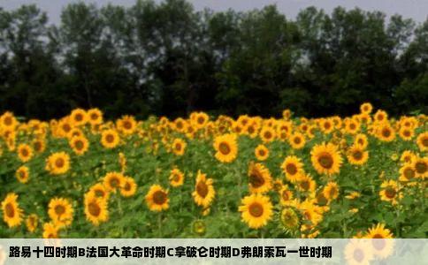 路易十四时期B法国大革命时期C拿破仑时期D弗朗索瓦一世时期