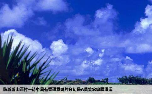 陆游游山西村一诗中具有哲理意味的名句是A莫笑农家腊酒浑