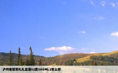 泸州老窖贵礼礼盒酒52度500ML2怎么样